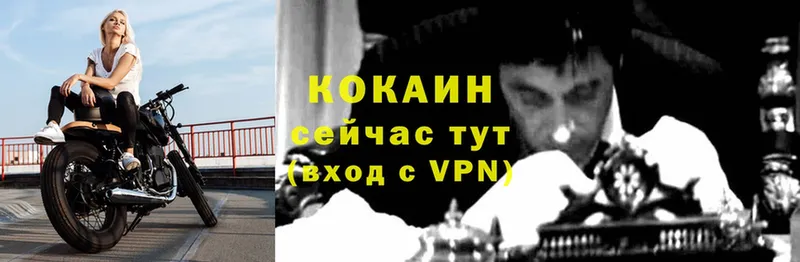 Кокаин Эквадор  Боровичи 